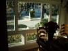 Windows and Patio Doors
