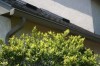 Pictures of Taylor Construction Gutter Projects - taylor construction, gutter guard, ultimate gutter guard