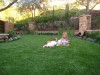 Paver Stones, Synthetic Turf, Outdoor Elements
