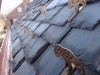Burnett - Gutters, Snow Guards & EPDM Roof