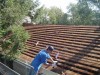 Levenson - Wood Shingles