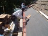 Levenson - Wood Shingles