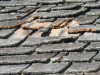 Levenson - Wood Shingles