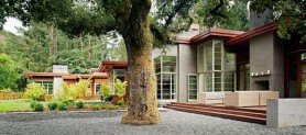Warm Contemporary