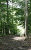 309 Marks Pond Way