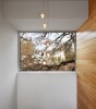 Tarrytown Custom - custom home