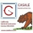 Casale Construction Co.