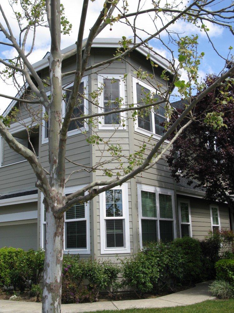 Photo By American Home Renewal. Projects