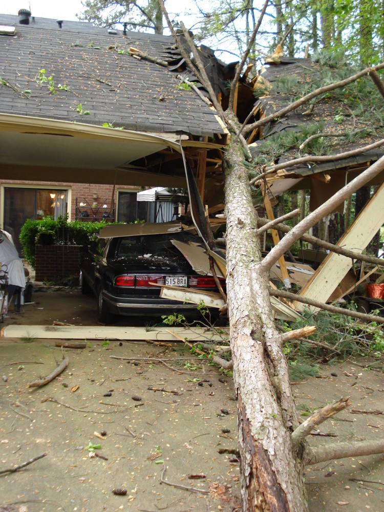 Photo By 404-CUT-TREE. Tree Removal