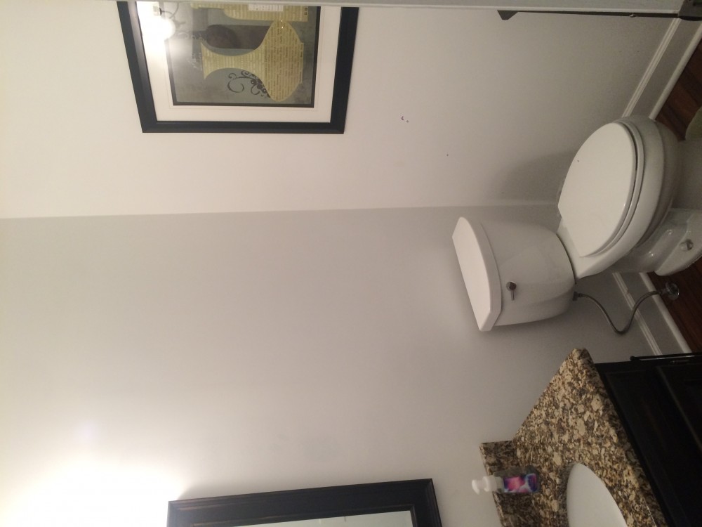 Photo By The Painting Company (GA). Before And After Interior