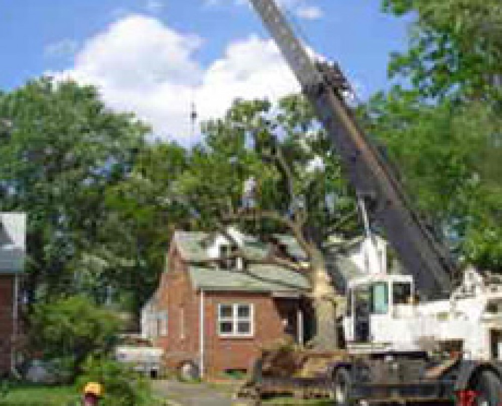 Photo By South River Restoration. Restoration