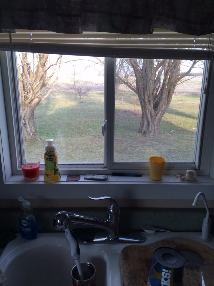 Photo By Juranek Home Improvement. Infinity By Marvin Window Installation