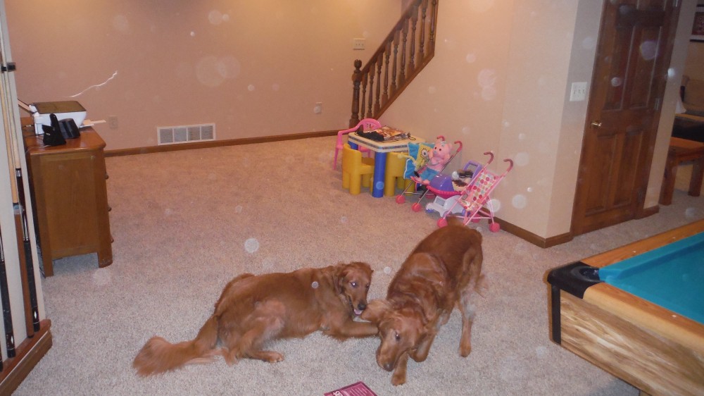 Photo By Dry Patrol. 