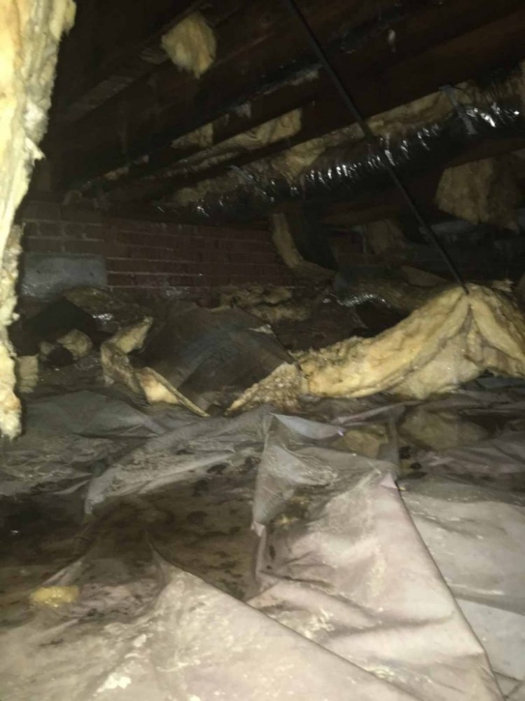 Photo By Carolina Water Damage Restoration. Crawlspace Water Damage Restoration In 