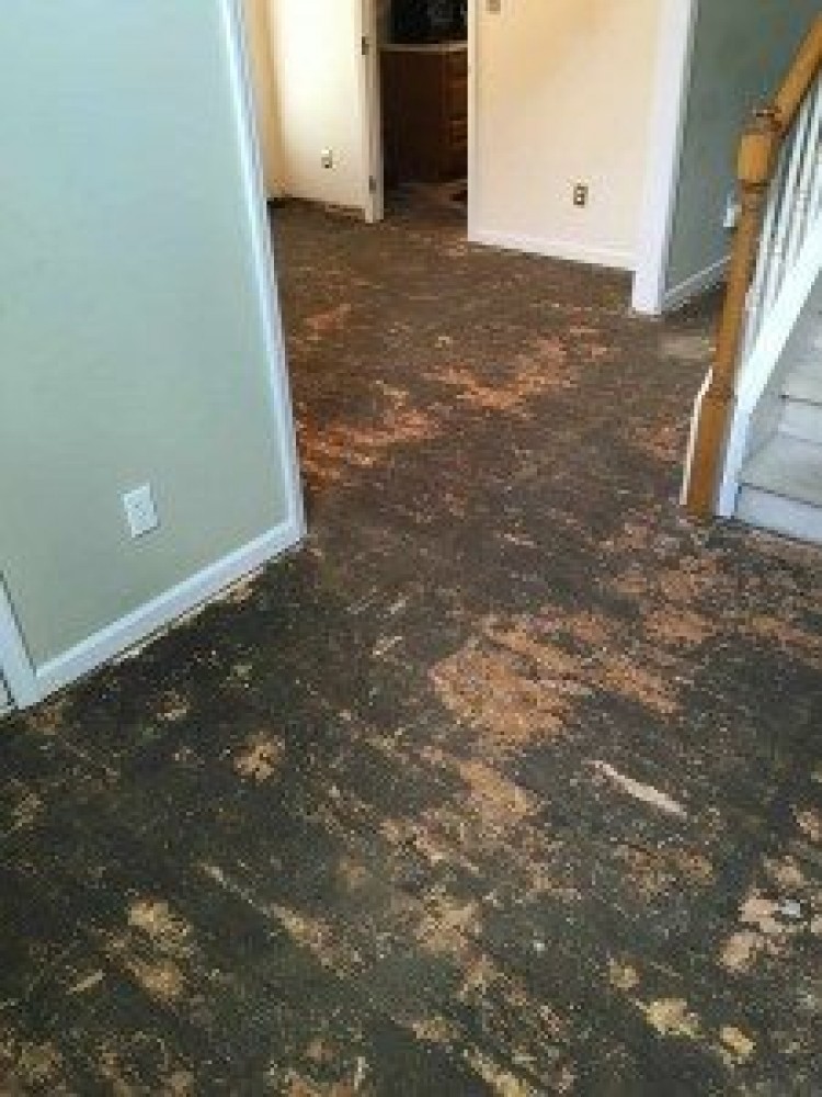 Photo By Carolina Water Damage Restoration. Leaking Pipe Water Damage Restoration In North Raleigh NC