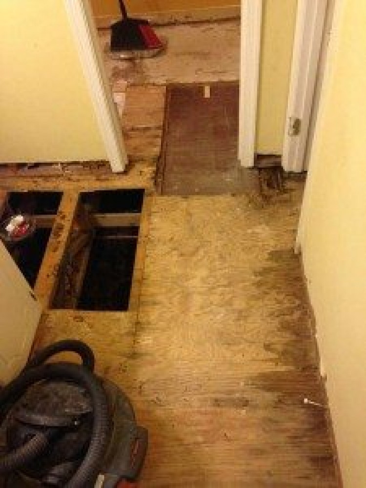 Photo By Carolina Water Damage Restoration. Sewage Backup In Raleigh, NC