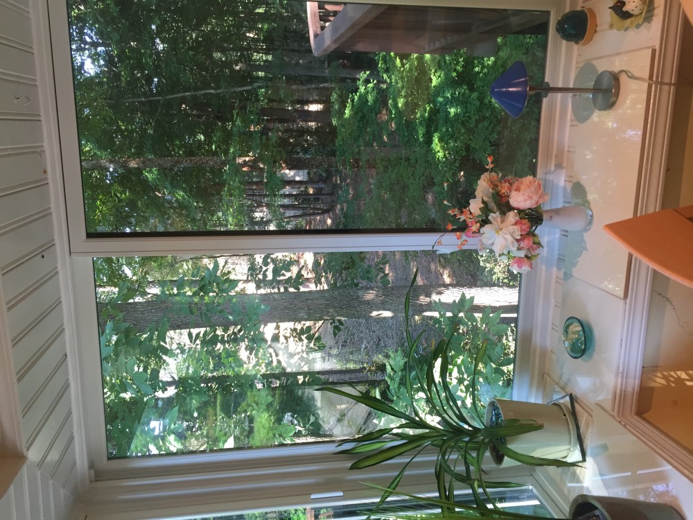 Photo By North Georgia Replacement Windows. Infinity From Marvin Fiberglass Window Replacement