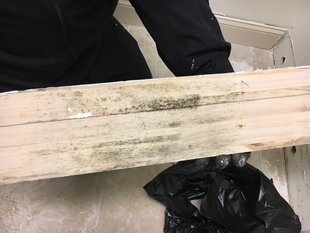 Photo By Complete DKI. 