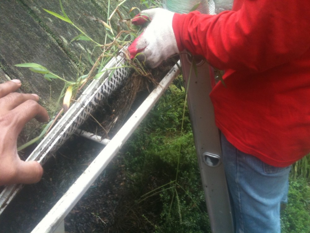 Photo By Gutterman Services Inc.. Residental Gutter Cleaning