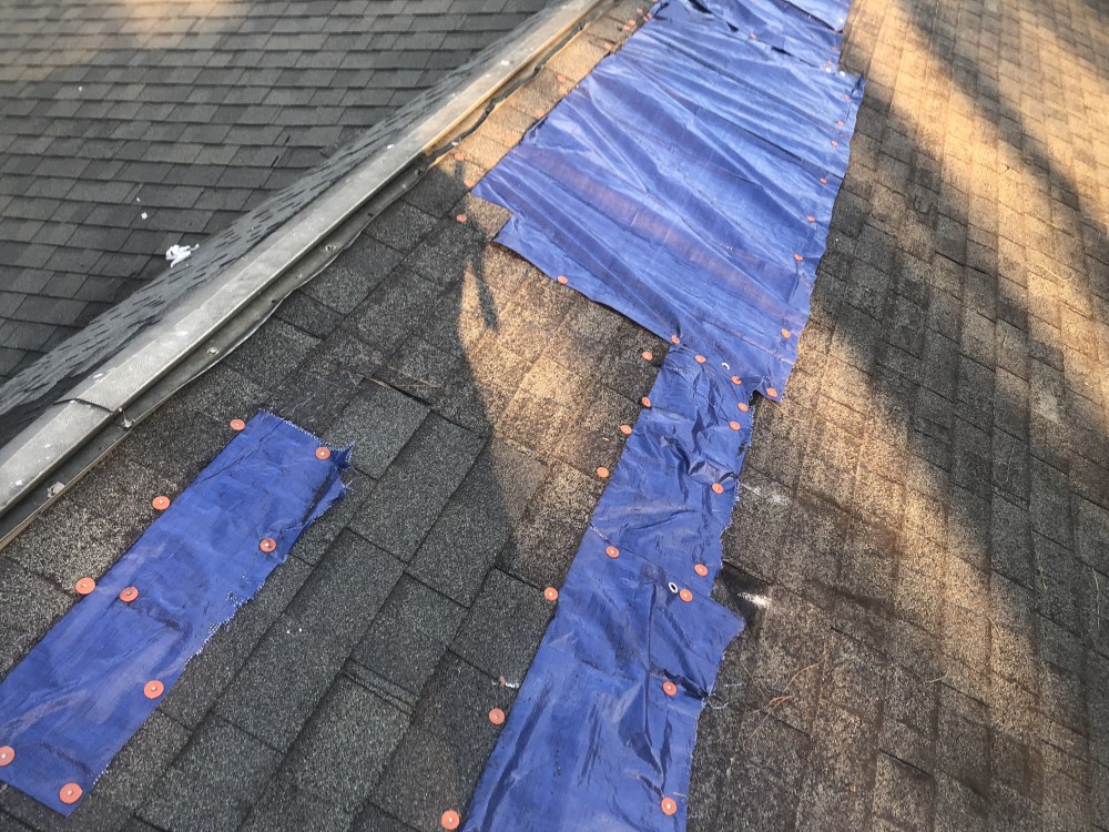 Photo By ACC Construction. 