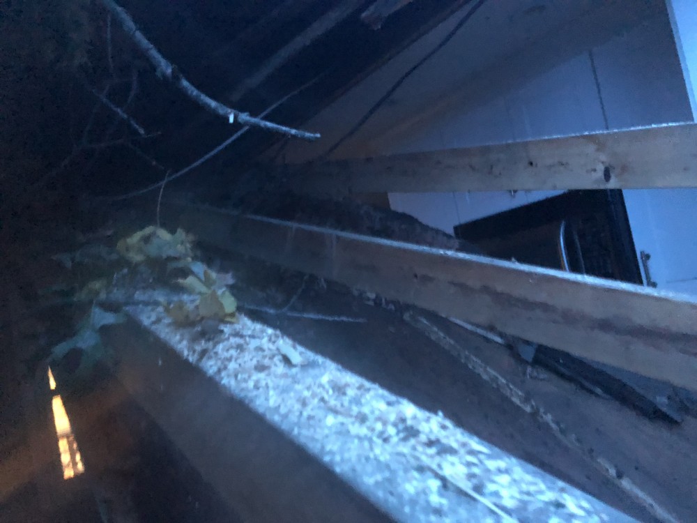 Photo By ACC Construction. 