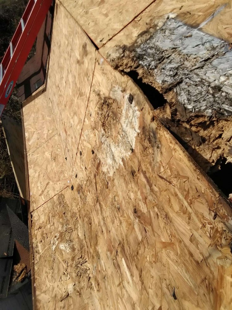 Photo By ACC Construction. 