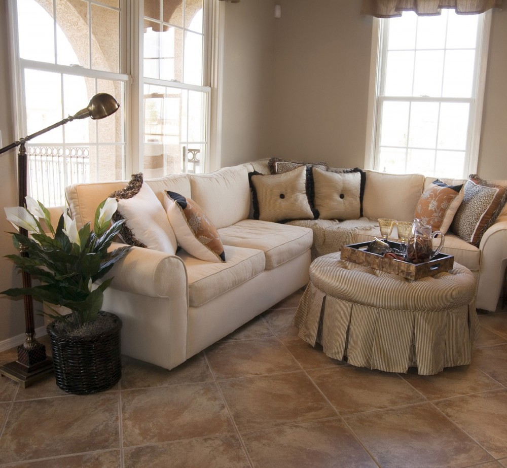 Photo By NewSouth Window Solutions. Double Hung Windows In Living Room