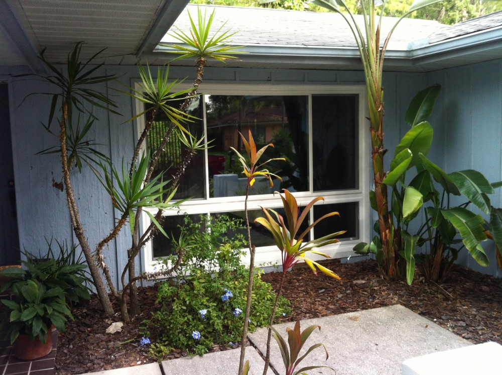 Photo By NewSouth Window Solutions. Tropical Garden