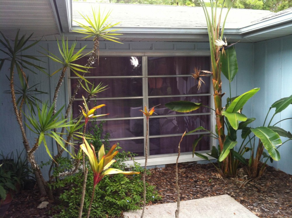 Photo By NewSouth Window Solutions. Tropical Garden