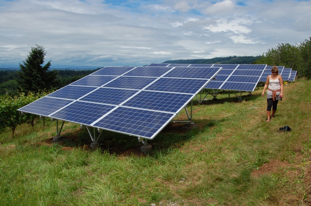 Photo By Sunbridge Solar, LLC. Chehalem Winery Solar Install