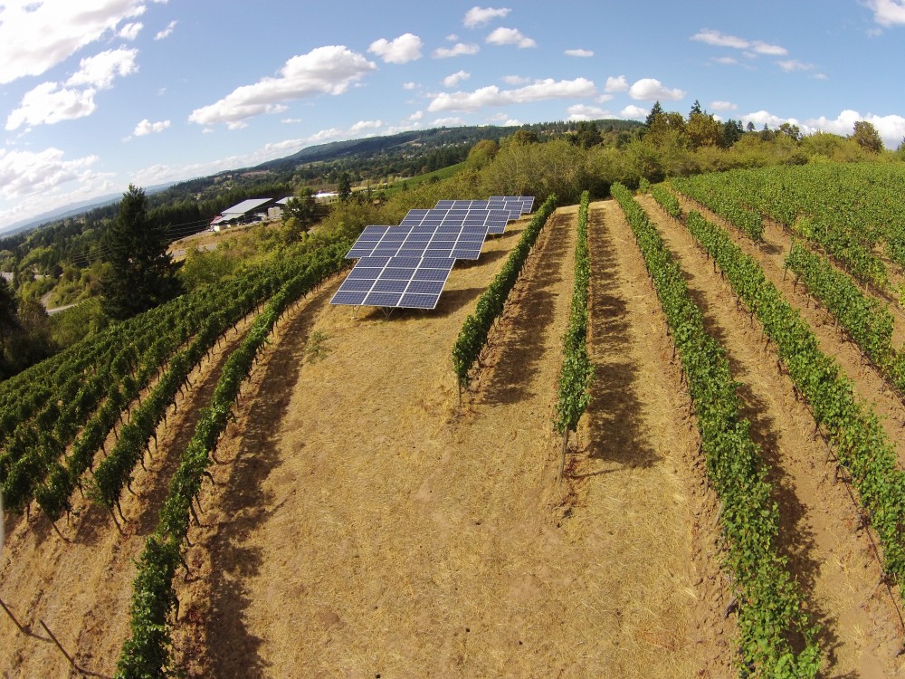 Photo By Sunbridge Solar, LLC. Chehalem Winery Solar Install