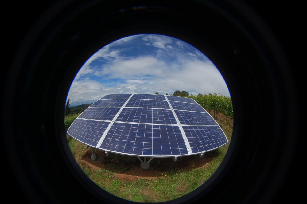 Photo By Sunbridge Solar, LLC. Chehalem Winery Solar Install