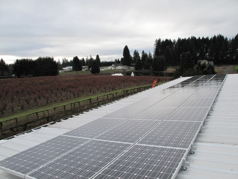 Photo By Sunbridge Solar, LLC. WA - Berry Best Farms