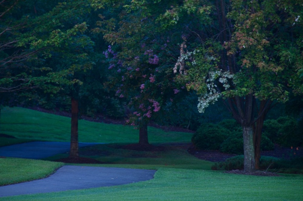 Photo By Lake Carolina Company. Lake Carolina Resort Style Amenities