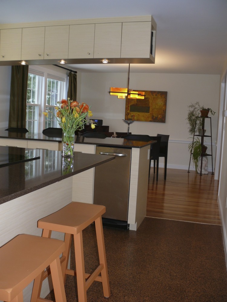 Photo By Sustainable Construction. Sustainable Construction Services, Inc. Kitchen Remodel