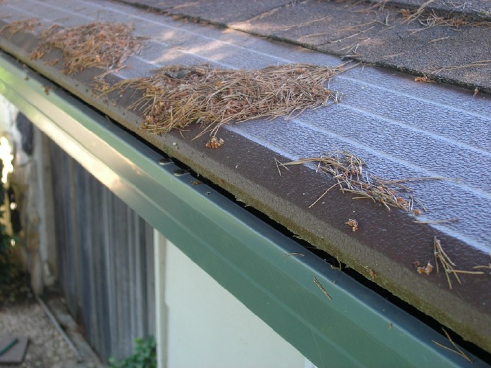 Photo By Gutter Helmet Of Minnesota. Gutter Helmet Installations