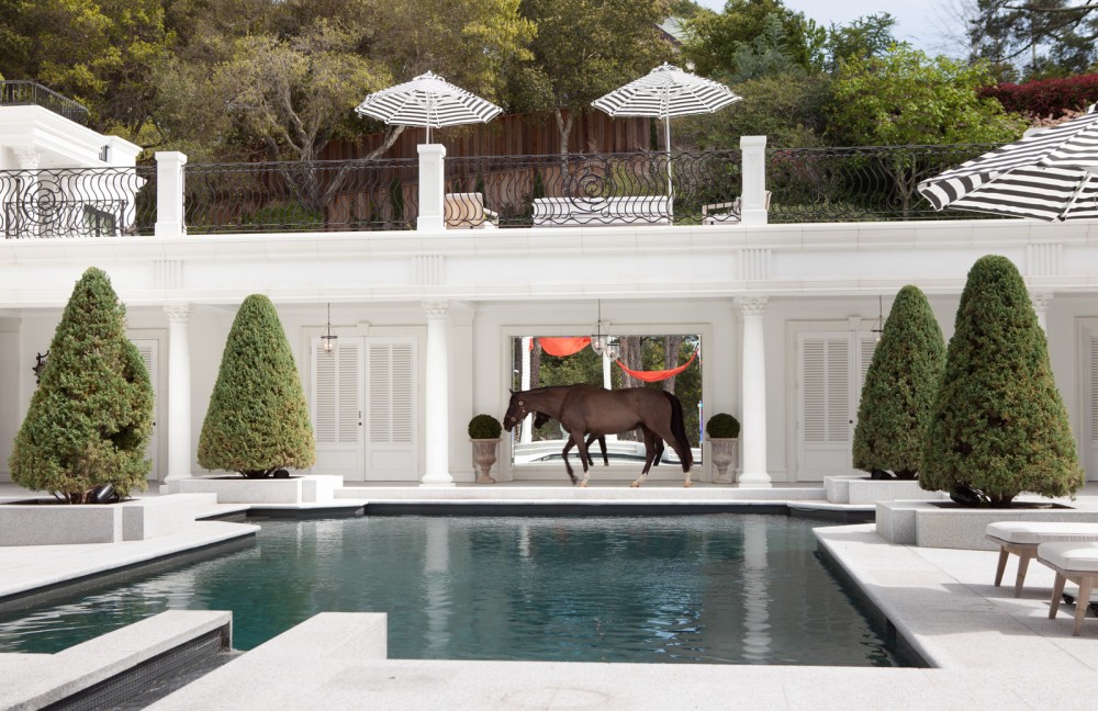 Photo By Dawson + Clinton. Hillsburrough Residence