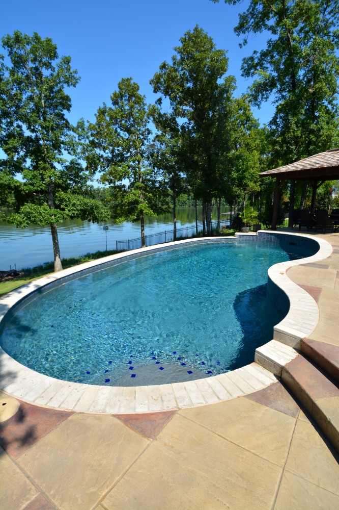 Photo By Parrot Bay Pools. Andrew's Project