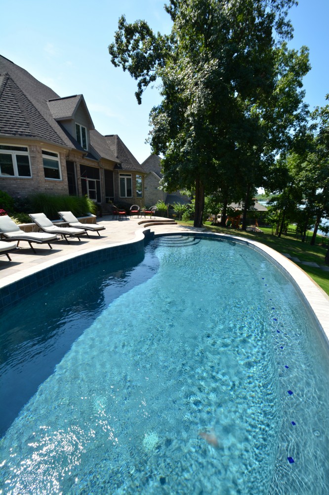 Photo By Parrot Bay Pools. Andrew's Project