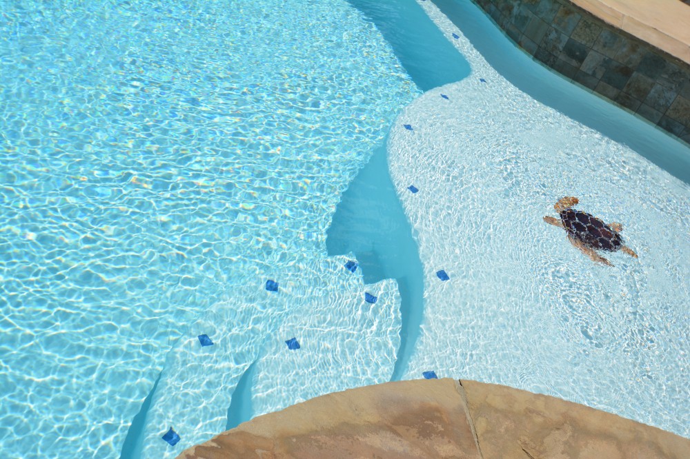 Photo By Parrot Bay Pools. Miller Project