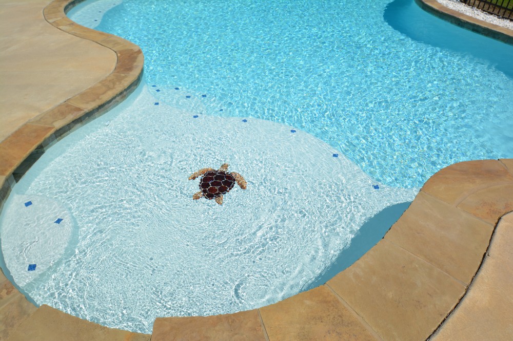 Photo By Parrot Bay Pools. Miller Project