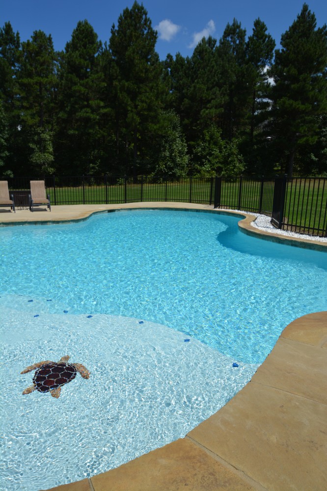Photo By Parrot Bay Pools. Miller Project