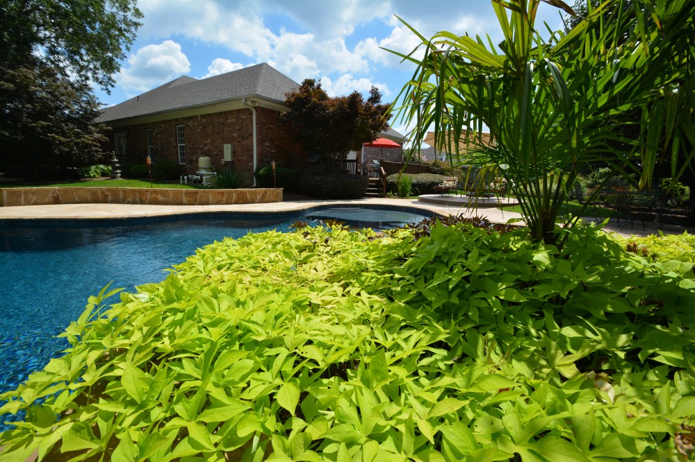 Photo By Parrot Bay Pools. Speer Project