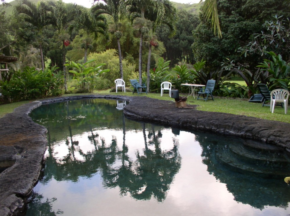 Photo By Guardian Of The Waters. Pools & Ponds