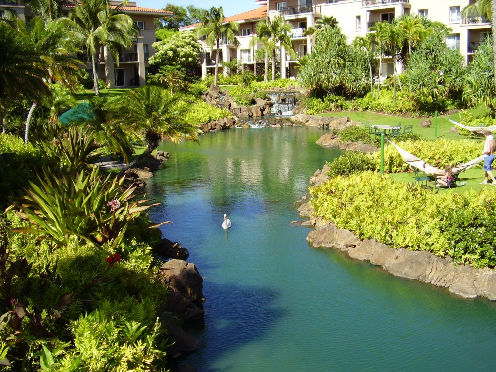 Photo By Guardian Of The Waters. Pools & Ponds