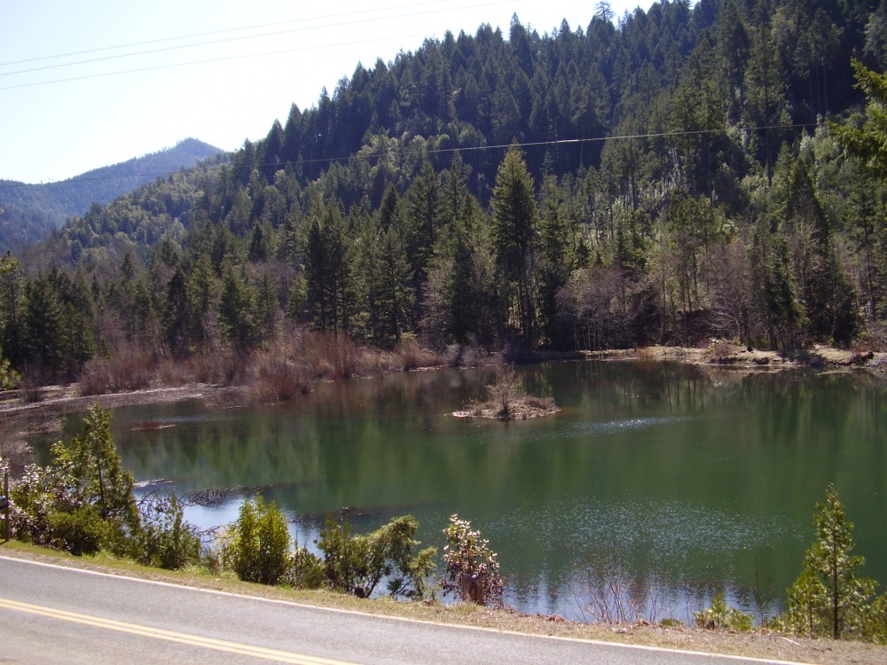 Photo By Guardian Of The Waters. Pools & Ponds