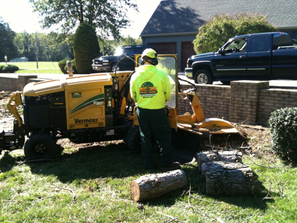 Photo By E-Z Tree Care And Removal Service - South Jersey. Tree Service South Jersey