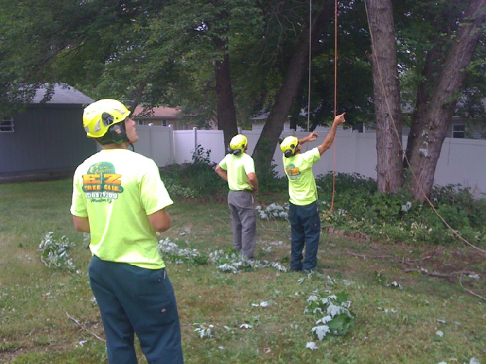 Photo By E-Z Tree Care And Removal Service - South Jersey. Tree Service South Jersey