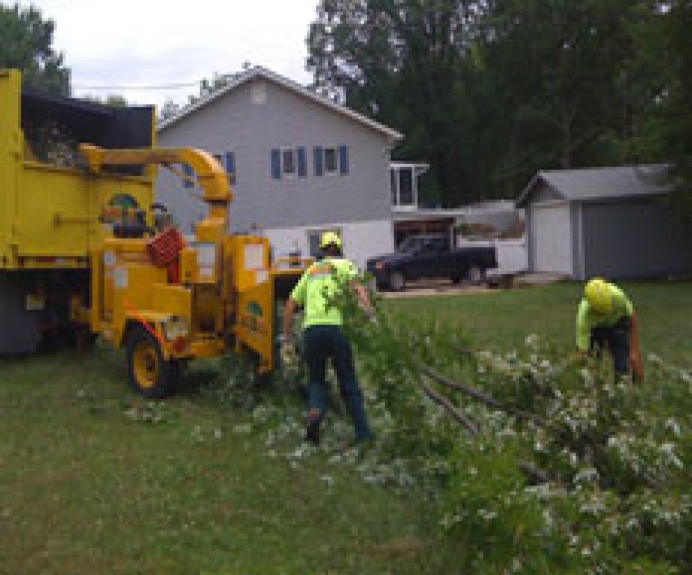 Photo By E-Z Tree Care And Removal Service - South Jersey. Tree Service South Jersey