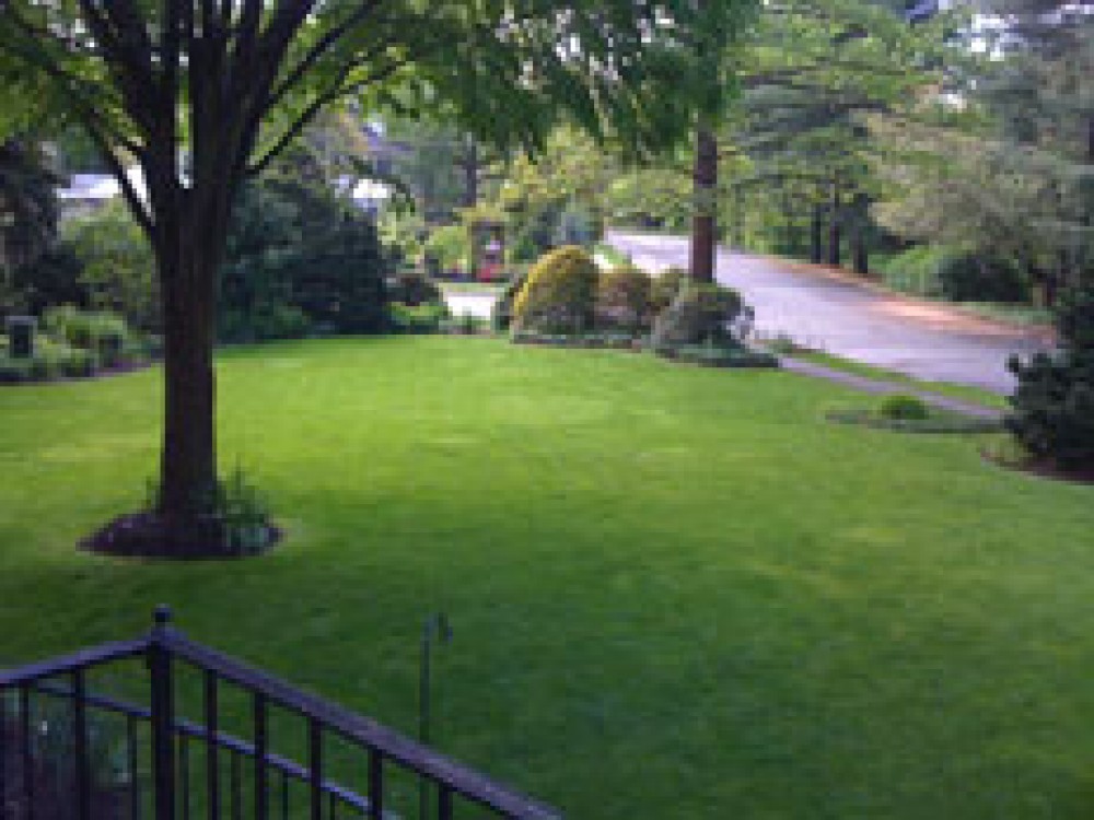 Photo By E-Z Tree Care And Removal Service - South Jersey. Tree Service South Jersey